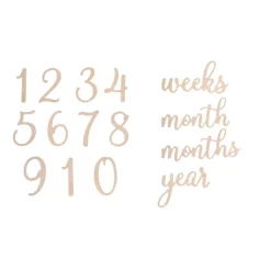 Pearhead WOODEN REVERSIBLE MILESTONE PHOTO PROP