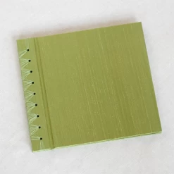 Rag & Bone BABY'S FIRST BOOK GREEN SILK