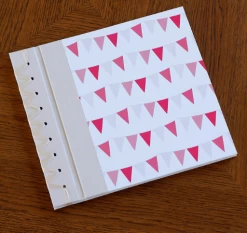 Rag & Bone BABY'S FIRST BOOK, PINK BABY BUNTING